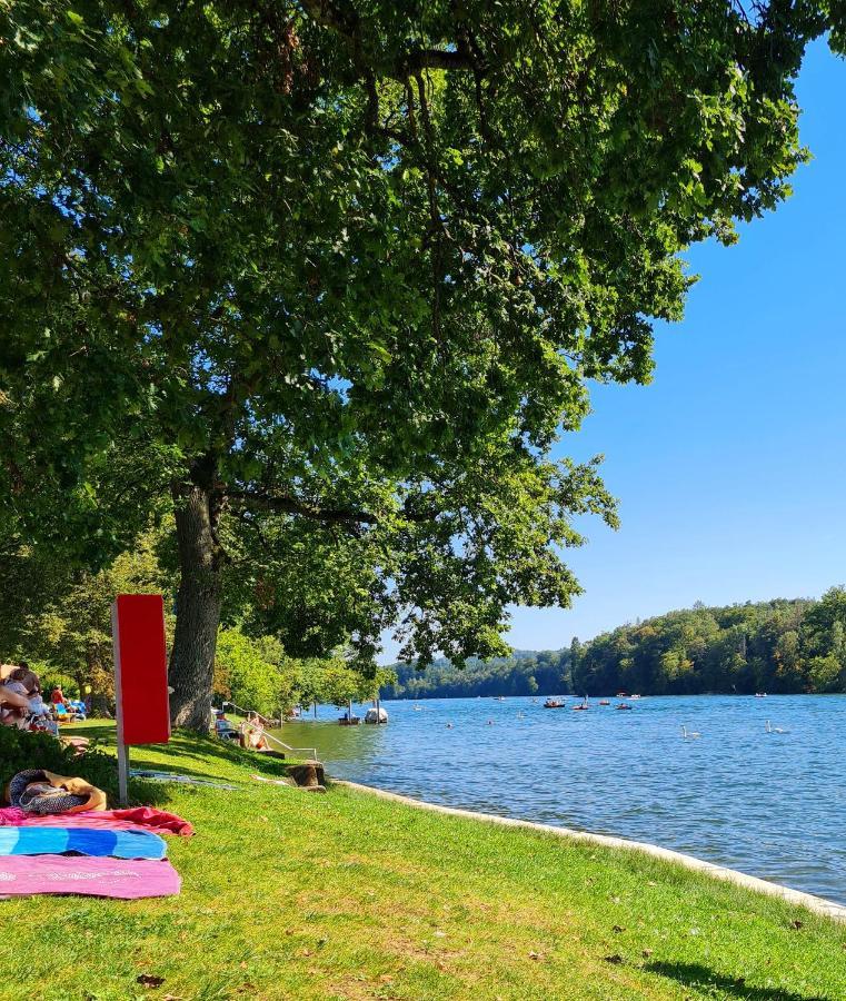 Ferienwohnung Rheinblick in Büsingen -keine Monteure- Busingen Exterior foto