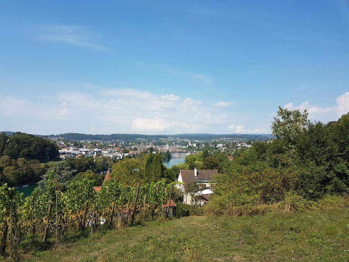 Ferienwohnung Rheinblick in Büsingen -keine Monteure- Busingen Exterior foto