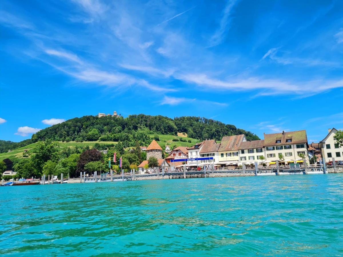 Ferienwohnung Rheinblick in Büsingen -keine Monteure- Busingen Exterior foto