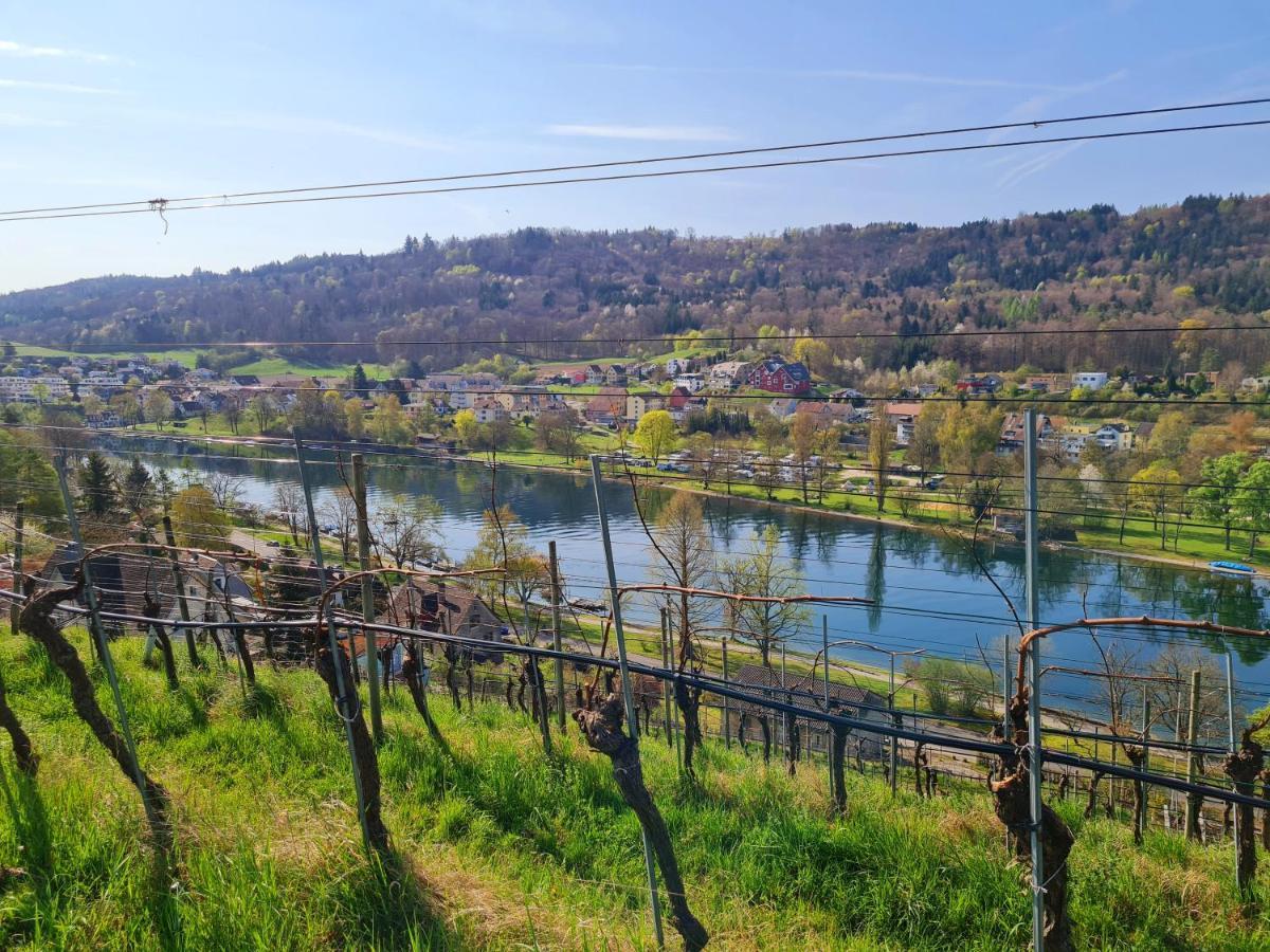 Ferienwohnung Rheinblick in Büsingen -keine Monteure- Busingen Exterior foto