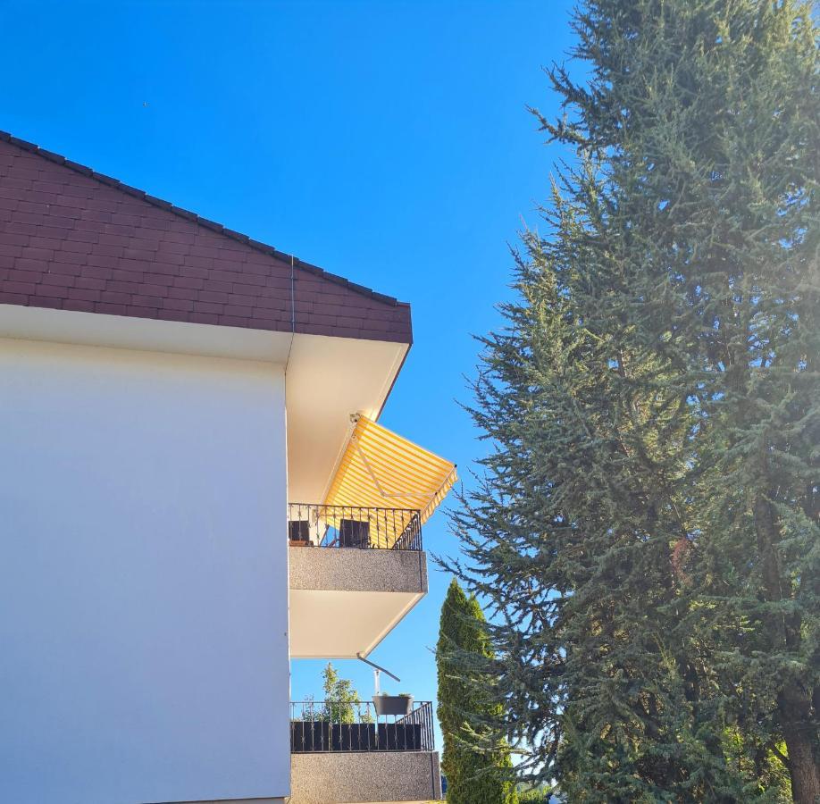 Ferienwohnung Rheinblick in Büsingen -keine Monteure- Busingen Exterior foto
